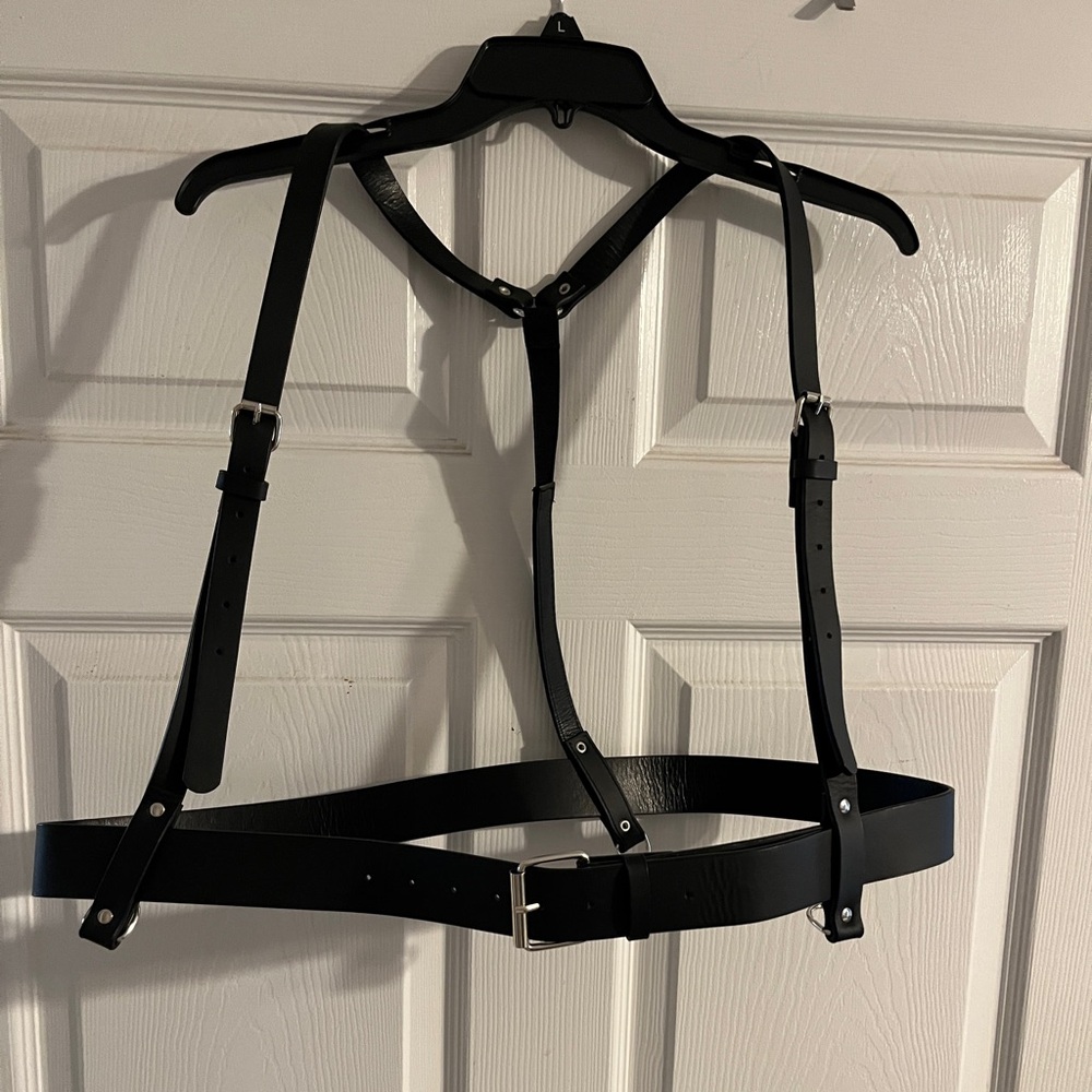 Torrid Size 2 harness.  Great accessory!